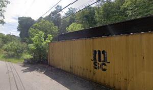 Precision Tree Services