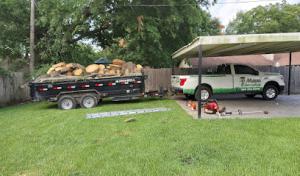 GMaya Tree Service & Landscaping