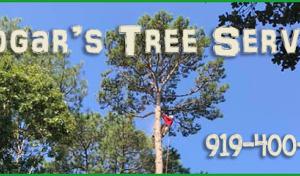 Edgar's Tree Service