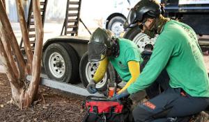 Medrano's Tree Services