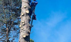 E.P.R. Tree & Multi Services