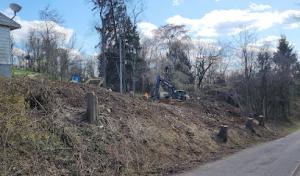 Warner Bros.Tree Service