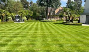 4 Ever Green Tree Services