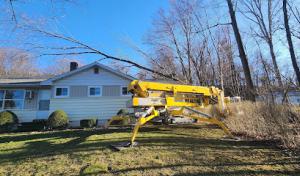 Green Leaf Tree Specialties