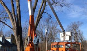 Scott’s Tree Company