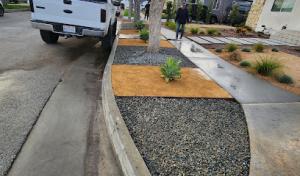 Timberline Tree Works