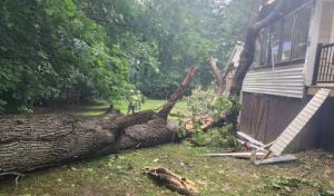 Appleton Emergency Tree Service