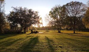 Dirty Mike's Septic & Hydro Jetting service