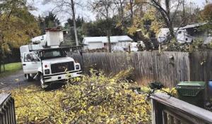 Otwell Septic & Drip Systems