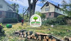 New East Tree Services & Landscaping
