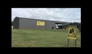 Bear's Insured Tree Service