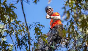 Fins Environmental Service