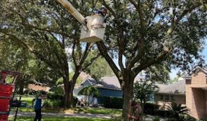 Kincaid's Septic tank & drainfield repair