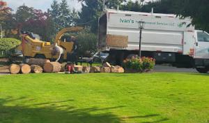 Ivan's Tree Removal Services