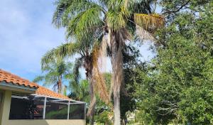 Elevation Environmental Services