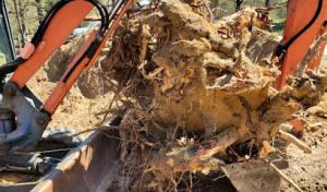 Waste Services