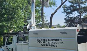 MQ Landscaping & Tree Services