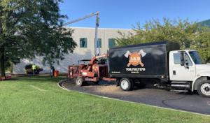 A&B Tree Services