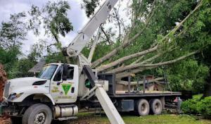 Smith's Tree Service