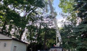 A&S Tree Service,Llc