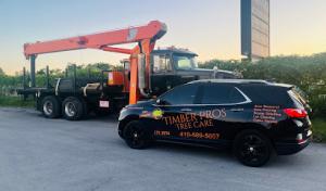 Timber Pros Tree Care