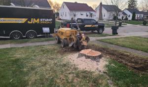 Working Dog Septic Services