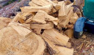 Underwood Family Tree Service