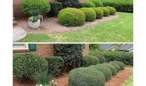 Seabound Septic Services & Waste Management