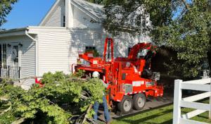 Lumberjacks Tree Service