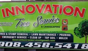 Innovation Tree Services & Landscaping