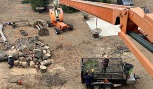 Efrain Tree Services