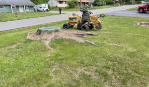 Bumgarner Septic Tank & Grading