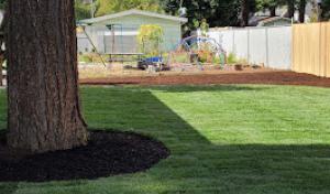 Climbing Monkeys Tree Services & Landscaping