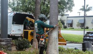 Gutierrez & Sons Tree Services & Landscaping