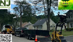 Triple AAA Tree's Landscaping