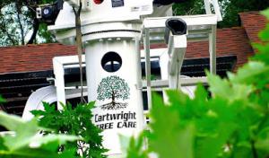 Cartwright Tree Care