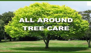 Navarro County Septic Pumping Cleaning Corsicana