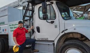 Prodigy Works Tree services.