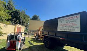 Norman Tree Services
