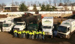 Timberline Tree & Landscape