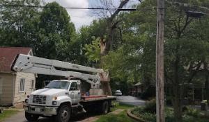 Creed Septic System Specialist