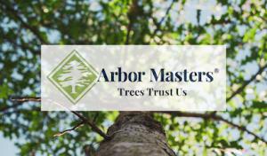 Advantage Tree Services