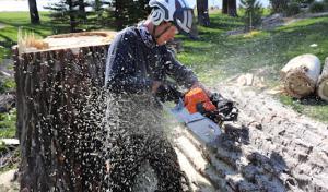 Green Planet Solutions Tree Service