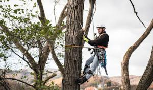 Hickman Tree Service