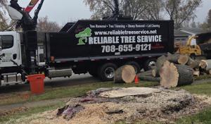 Reliable Tree Service