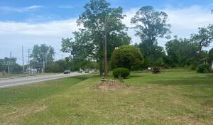 Green Oak Tree Services