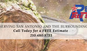 Republic Tree Service