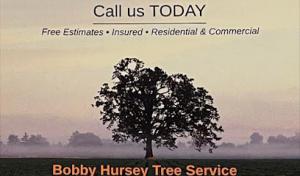 Bobby Hursey Tree Service