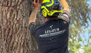 Legatum Property Professionals