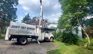 Old Pueblo Septic & Drain Service